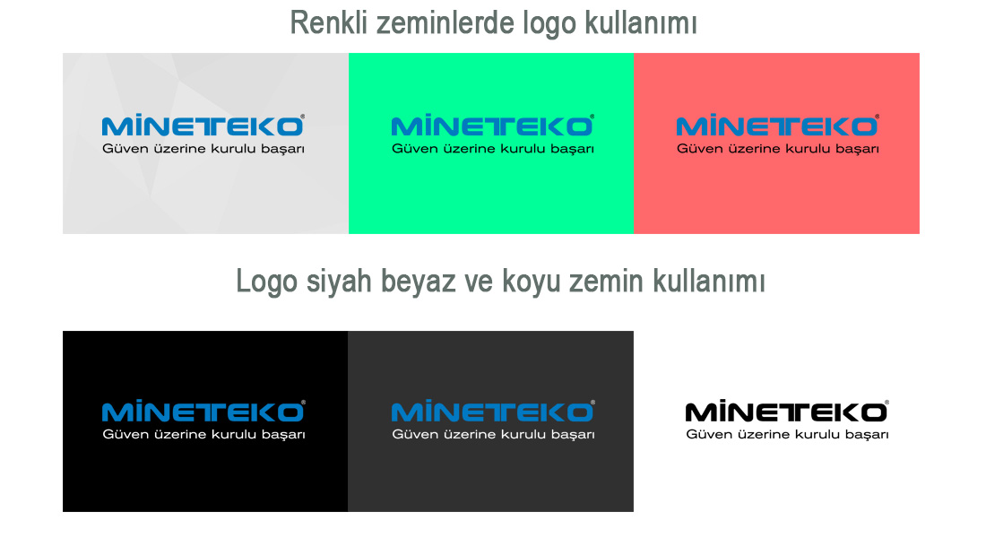 Kurumsal Logo Kullanımı